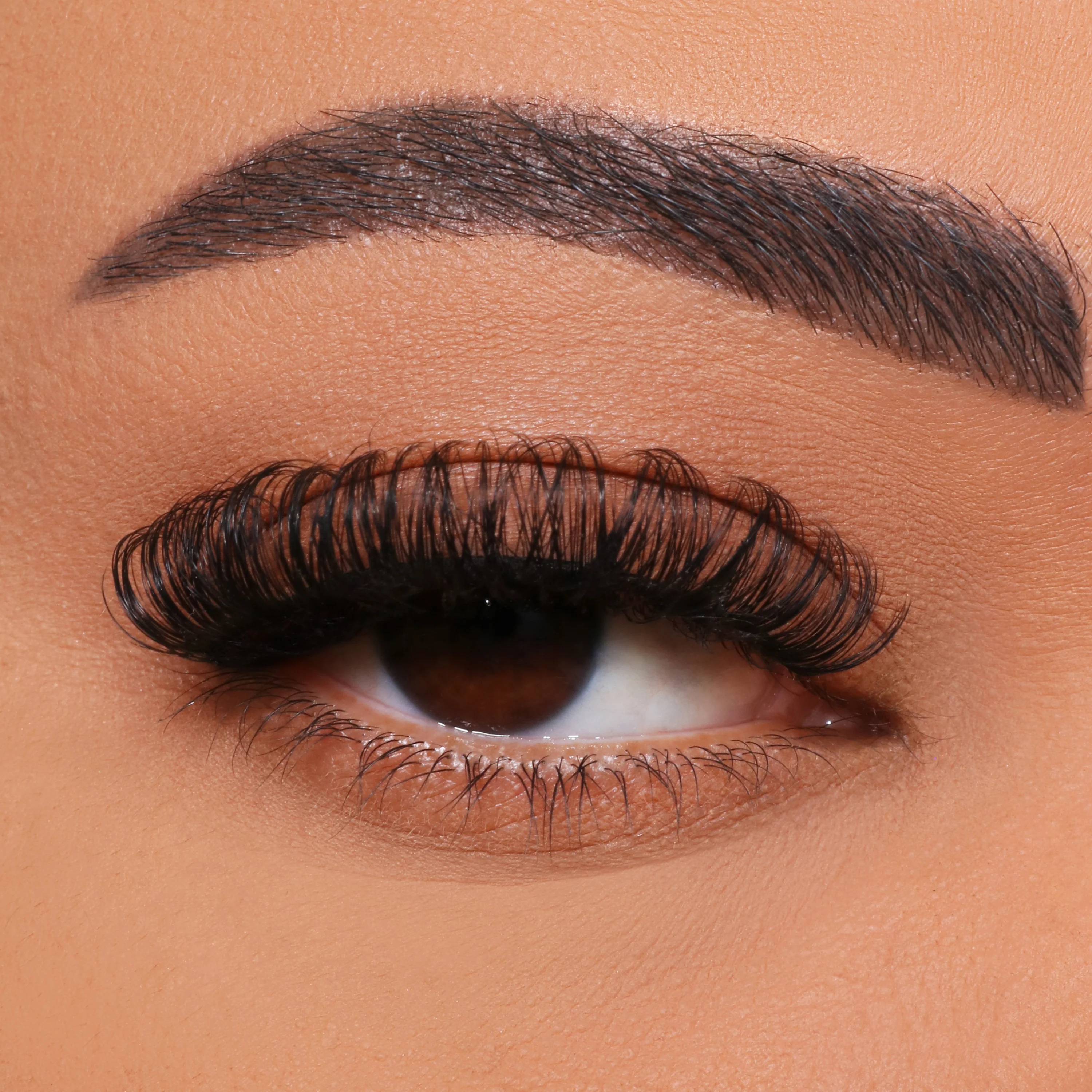 Як зробити сам багатоквітаючі прищеплення вій?